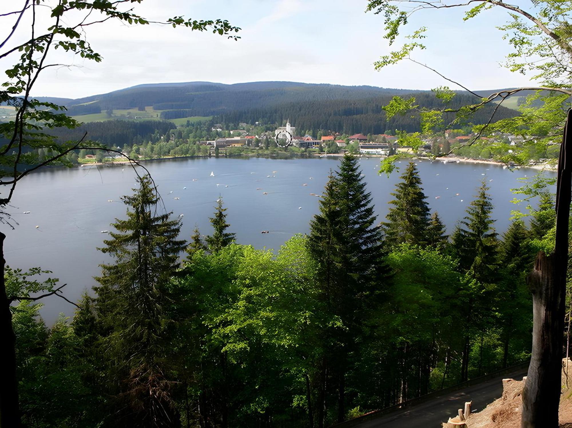 Haus Am Tannenhain Titisee-Neustadt Exterior foto